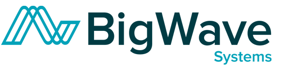 Big Wave Systems Logo
