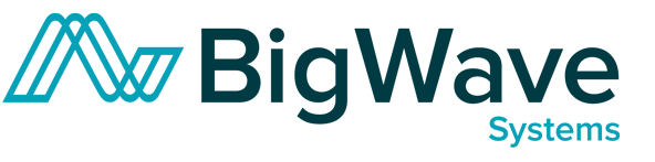 Big Wave Systems Logo